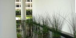 one-shenton photo thumbnail #8